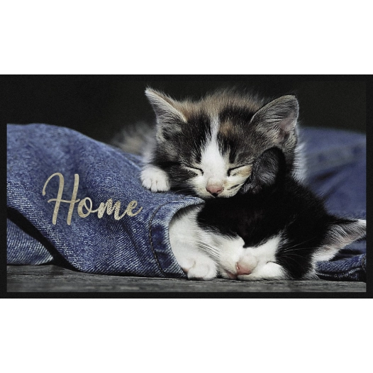 Tapis Velvet Chaton Welcom 45x75 - MERCURY
