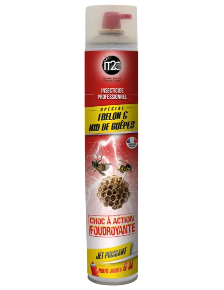 Insecticide choc guêpes Frelons longue portée 750ml - IT2C