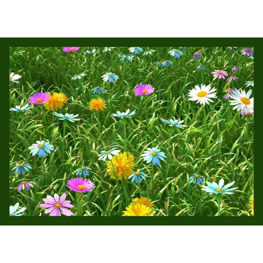 Tapis Creation Grassfiel Green50x80 - VICA