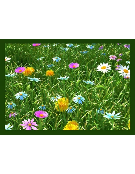 Tapis Creation Grassfiel Green50x80 - VICA