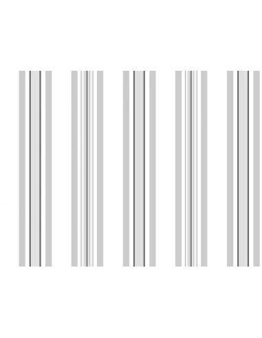 21050 Adh Classic Rayures 1,5mx45cm - ACCESS DECO