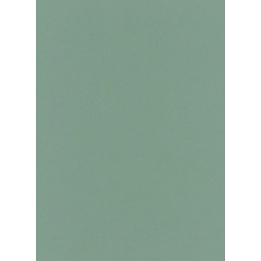 6342-36 Liasse Best S1 VGI Uni Vert Menthe 2019 - DECOR DESIGN