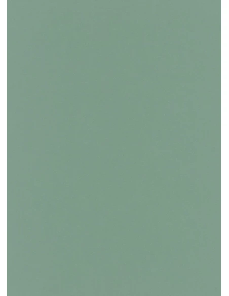 6342-36 Liasse Best S1 VGI Uni Vert Menthe 2019 - DECOR DESIGN