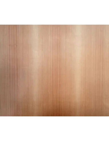 21051 Adh Classic Sapin 1,5mx45cm - ACCESS DECO