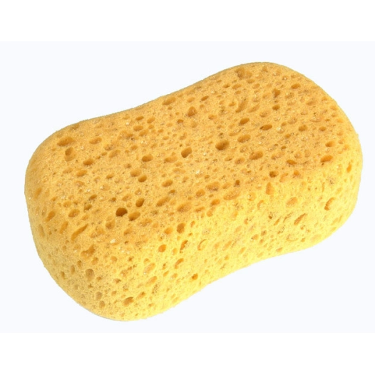 Eponge Synthet Chanfreinee Os -