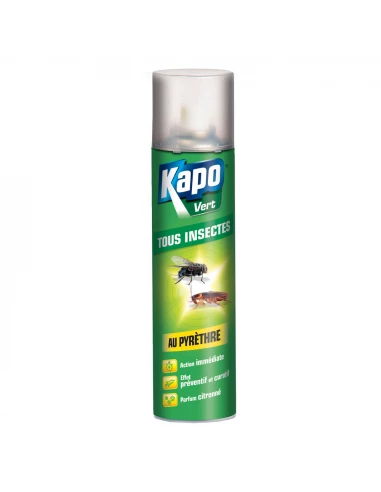 Kapo Vert Tous Insectes Aero300ml - KAPO