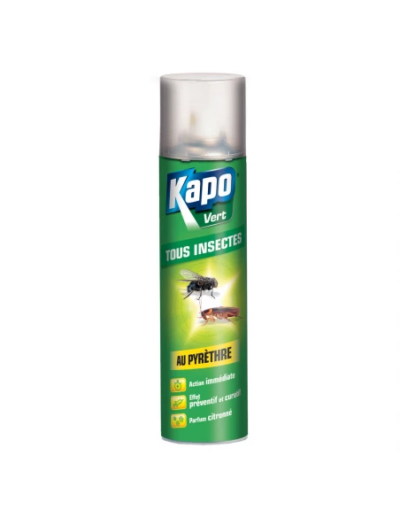 Kapo Vert Tous Insectes Aero300ml - KAPO