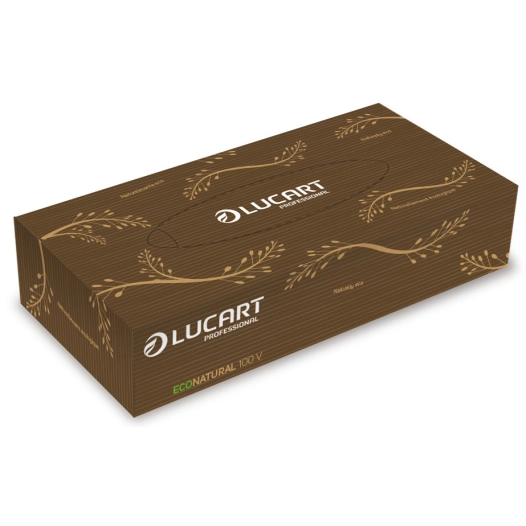 Mouchoirs en Papier EcoNatural Boite de 100 - LUCART