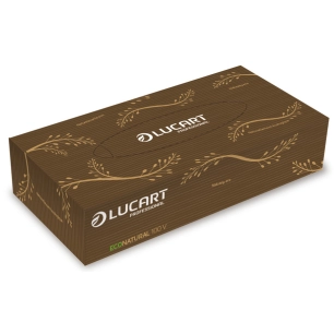 Mouchoirs en Papier EcoNatural Boite de 100 - LUCART