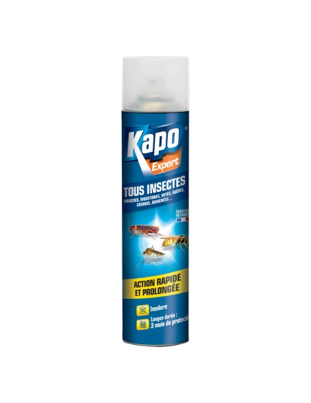 Kapo Tous Insectes Aero 300ml Tp18 - KAPO