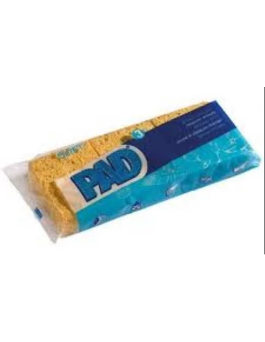 Eponges Vegetales Blondes N°2 X3 - PAD