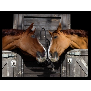 Tapis Velvet Deux Cheveaux 45x75 - MERCURY