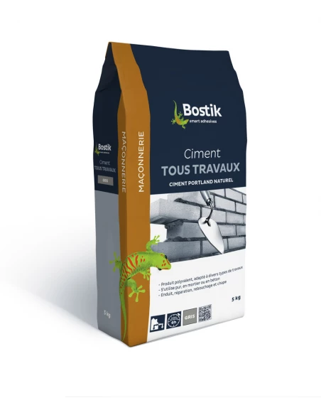 BOSTIK Ciment tous travaux 5kg gris - BOSTIK