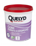Quelyd Colle Dalle Plafond 1kg - QUELYD - 3144350057011 -  - 569496