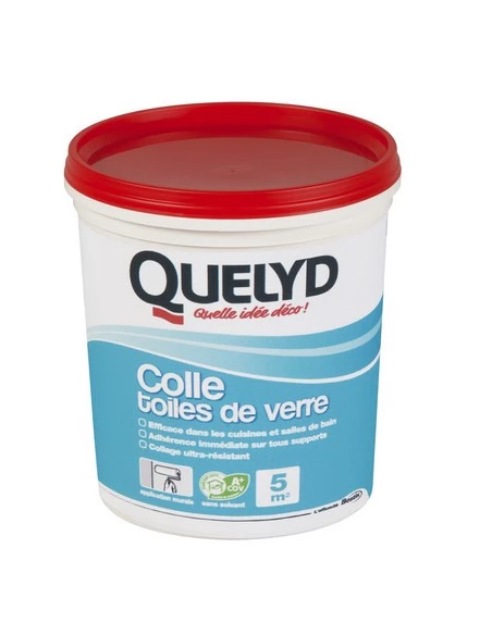 Colle spéciale Toile de verre 1kg - QUELYD