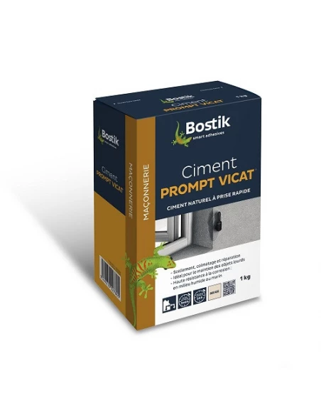 BOSTIK Ciment prompt vicat_1kg - BOSTIK