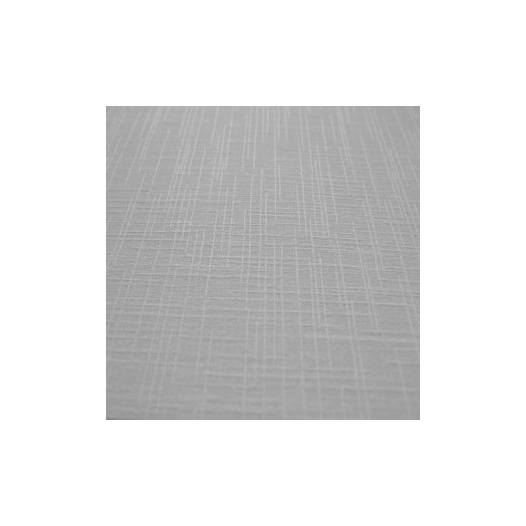 26.5 Revêtement mural à peindre en vinyle expansé rouleau de 25x1.06m - PATENT