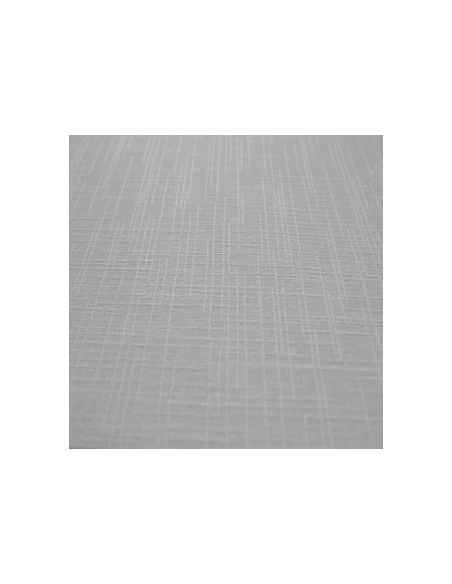 26.5 Revêtement mural à peindre en vinyle expansé rouleau de 25x1.06m - PATENT