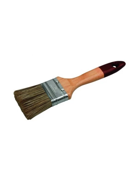 Brosse Plate Pro Trai 10112 20 - ROULOR
