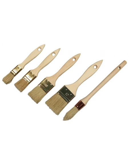 Lot 5 Pinceaux Fsc100% Pro - SAVY