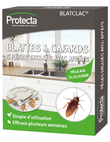 Cafards Et Blattes Etui 5 Pieges écologique - PROTECTA