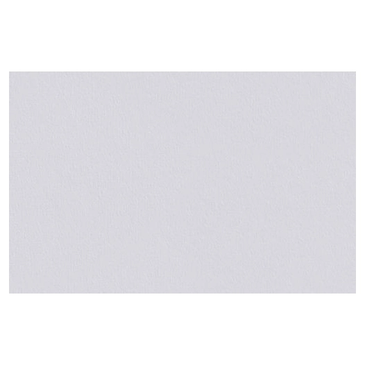 ERFURT Intissé à Peindre Variovlies_v180_rouleau_de_25x1m - DLE