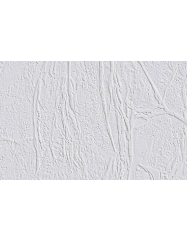 18.75 ERFURT Intissé à Peindre Vliesfaser_701_rouleau_de_25x0_75m - DLE