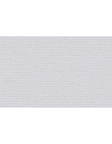 18.75 ERFURT Intissé à Peindre Vliesfaser_717_rouleau_de_25x0_75m - DLE