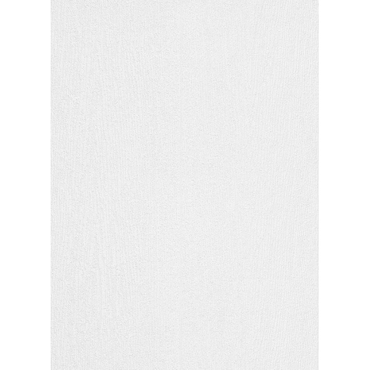 12 5370-01 - Structure à peindre Intissée RollOver Déco - ERISMANN ET CIE