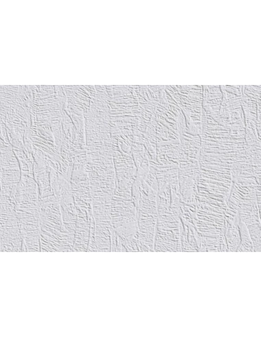 18.75 ERFURT Intissé à Peindre Vliesfaser_722_rouleau_de_25x0_75m - DLE