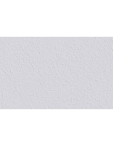 18.75 ERFURT Intissé à Peindre Vliesfaser_735_rouleau_de_25x0_75m - DLE