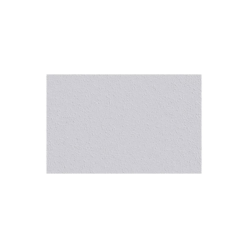 18.75 1002987 - Revêtement à Peindre Ingrain Rautex 20 - DECORAMA