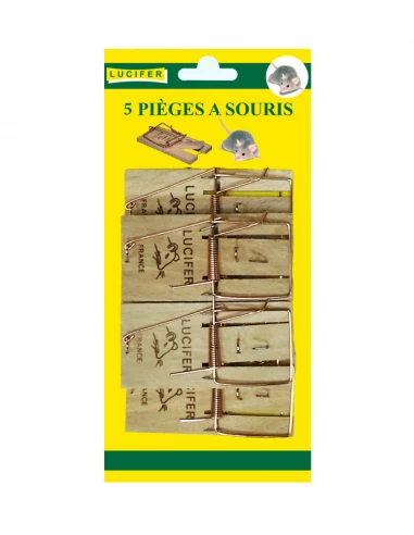 Pieges A Souris X5 Sur Carte - LUCIFER