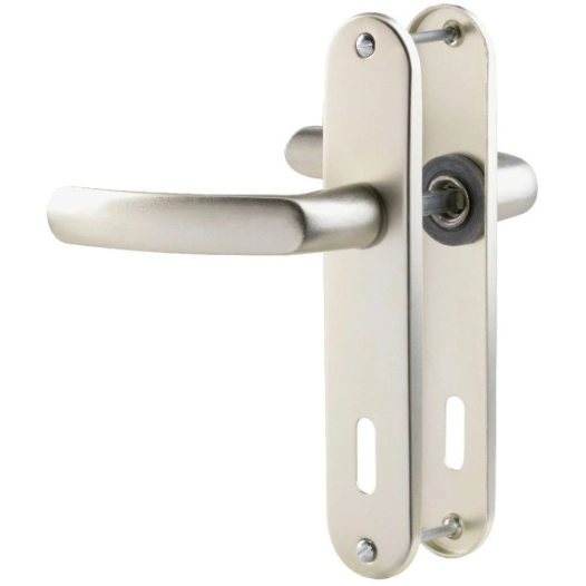 Poignée de porte sur plaque ARGENT- Clé L - Budget - Vachette