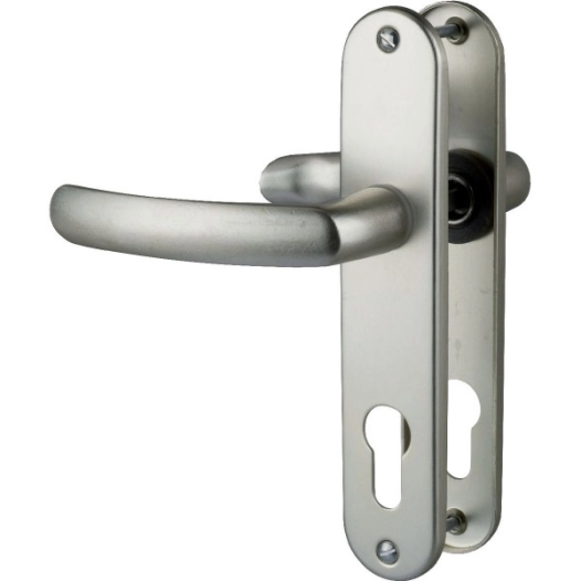 Poignée de porte sur plaque ARGENT- Clé i - Budget - Vachette