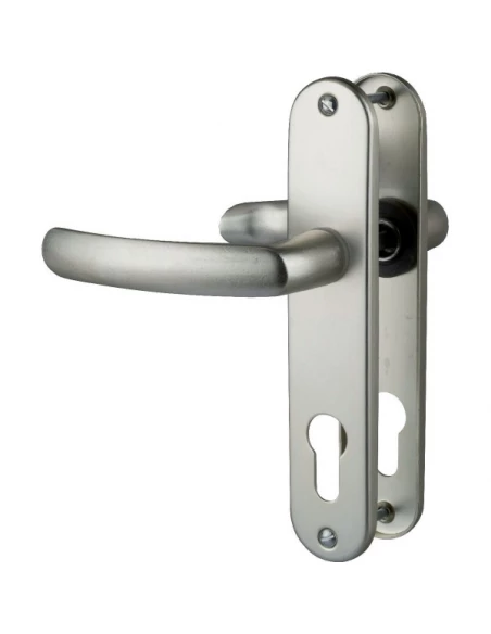 Poignée de porte sur plaque ARGENT- Clé i - Budget - Vachette