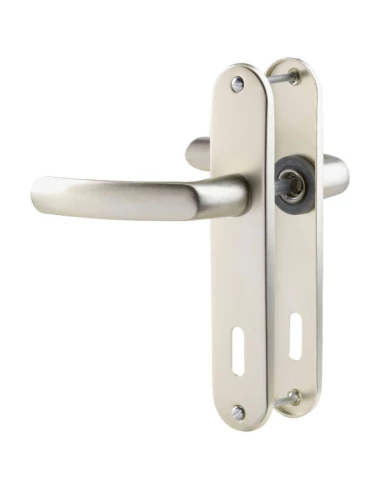 Poignée de porte sur plaque CHAMPAGNE - Clé L - Budget - Vachette