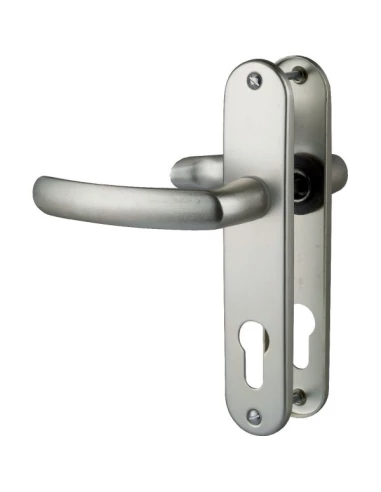 Poignée de porte sur plaque CHAMPAGNE - Clé i - Budget - Vachette