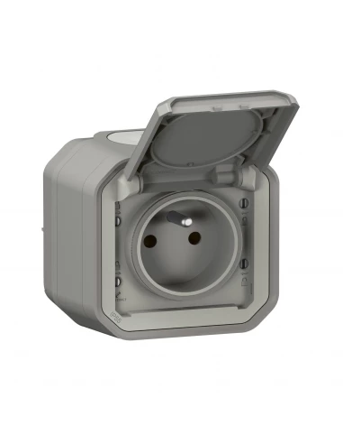 2p+t f/b gris saillie