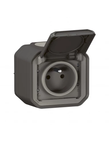 2p+t f/b anth saillie