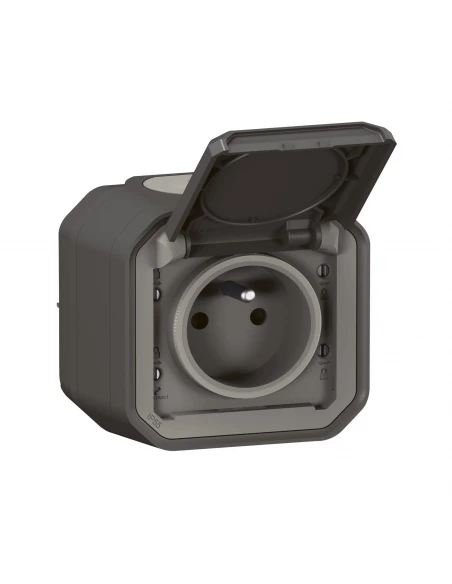 2p+t f/b anth saillie