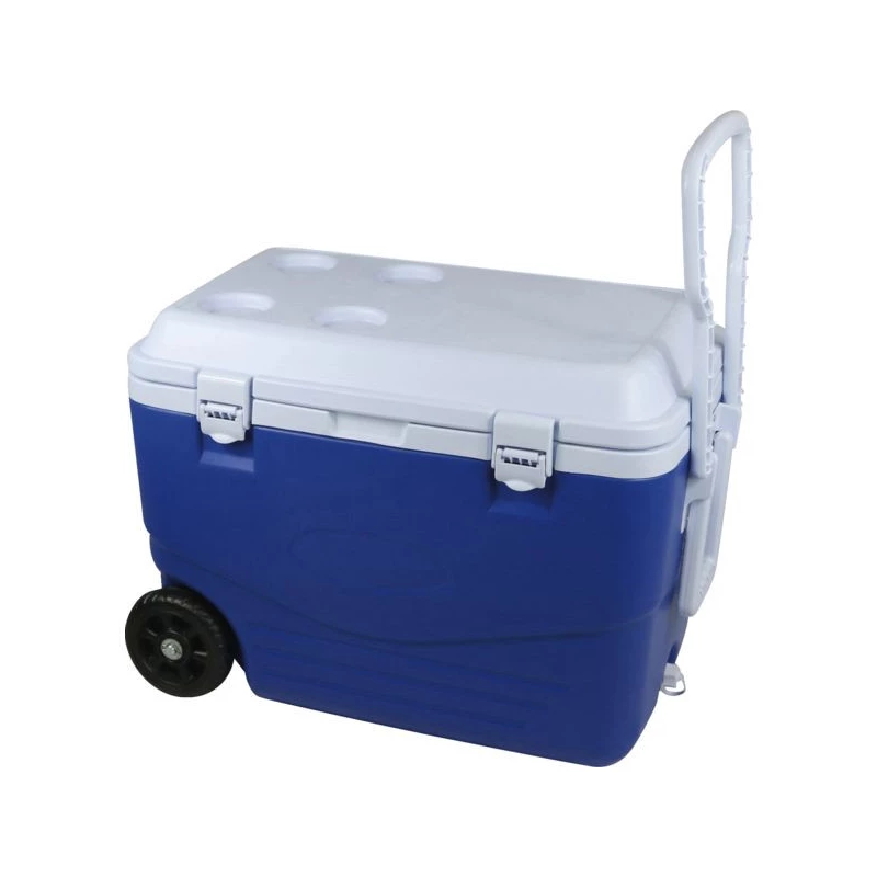 Glacière Rigide 46 Litres 60,5 X 35 ,5 X 41,5 Cm - cao camping
