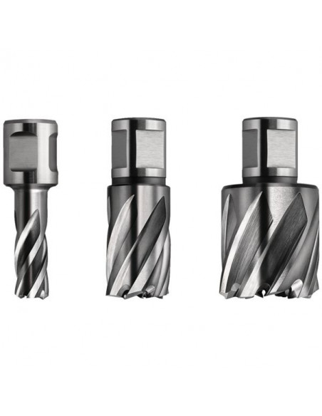 Fraise Hss Spécial Weldon