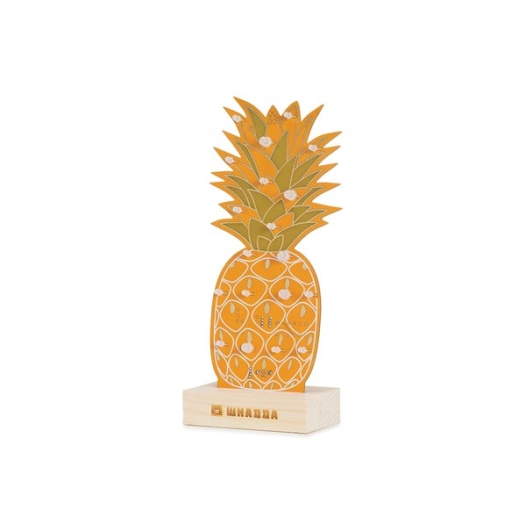 kit de soudage xl - ananas