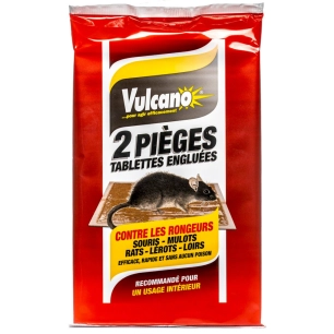 Pièges Englués Rats et Souris Lot de 2
