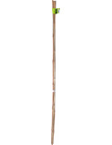 Tuteur bambou naturel 210cm d16/18mm x210cm - NORTENE