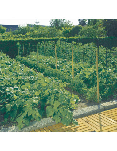 Filet à ramer Trellinet Support végétal robuste et polyvalent - Catral