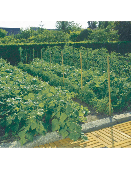 Filet à ramer Trellinet Support végétal robuste et polyvalent - Catral