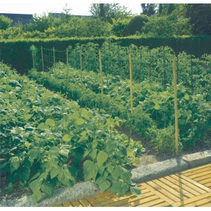 trellinet - filet à ramer 2x5m