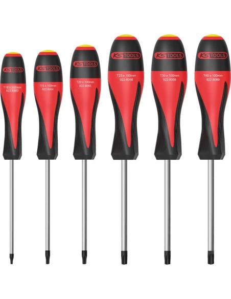 lot de 6 tournevis torx